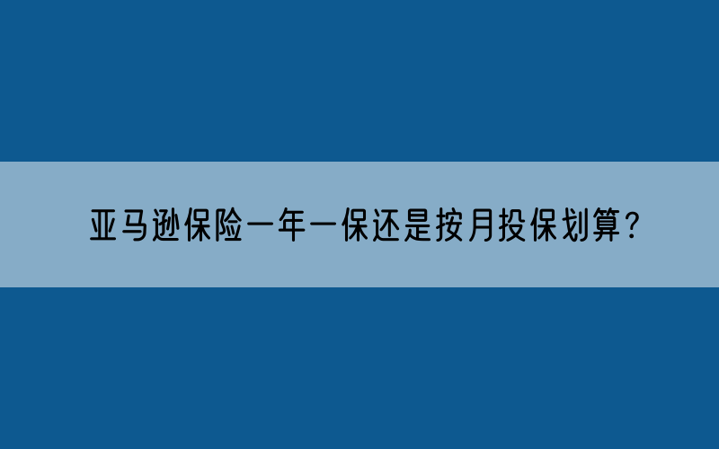 亚马逊保险一年一保还是按月投保划算？